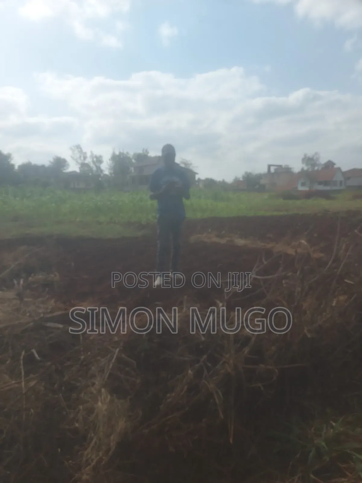 Golden Palm Estate Kiambu Rd Prime 1/4 Ac Ready Title