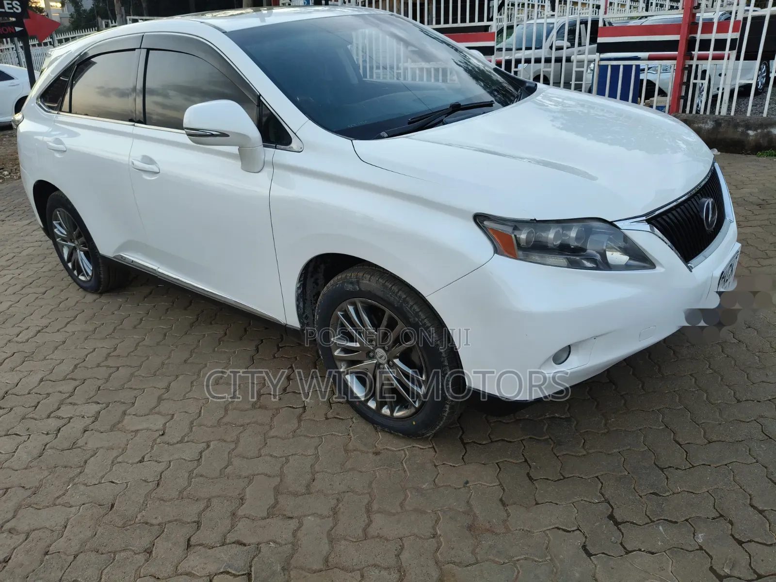 Lexus RX 2010 White