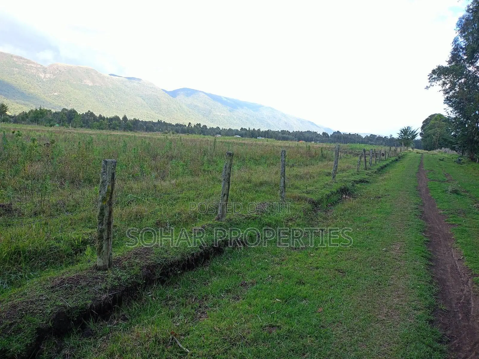 Nyandarua Kipipiri - 3.5 Acres on Per Acre