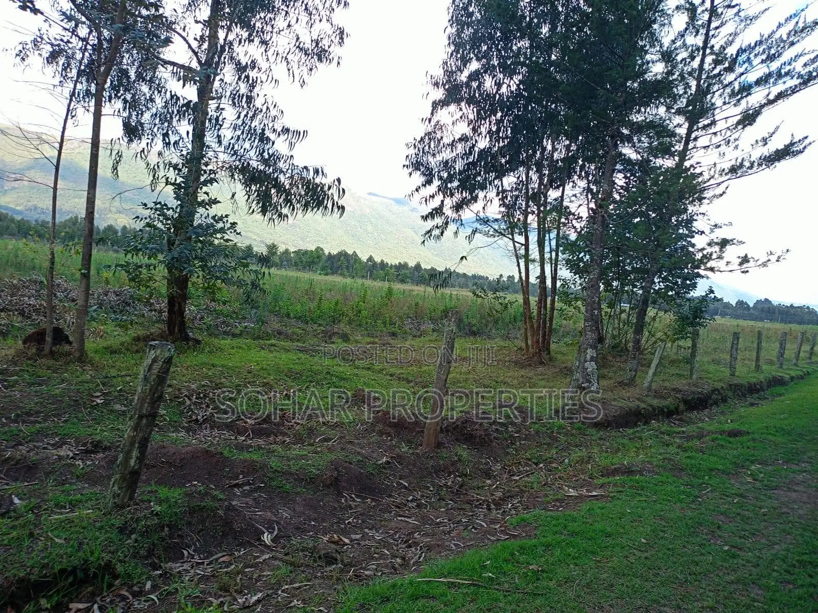 Nyandarua Kipipiri - 3.5 Acres on Per Acre