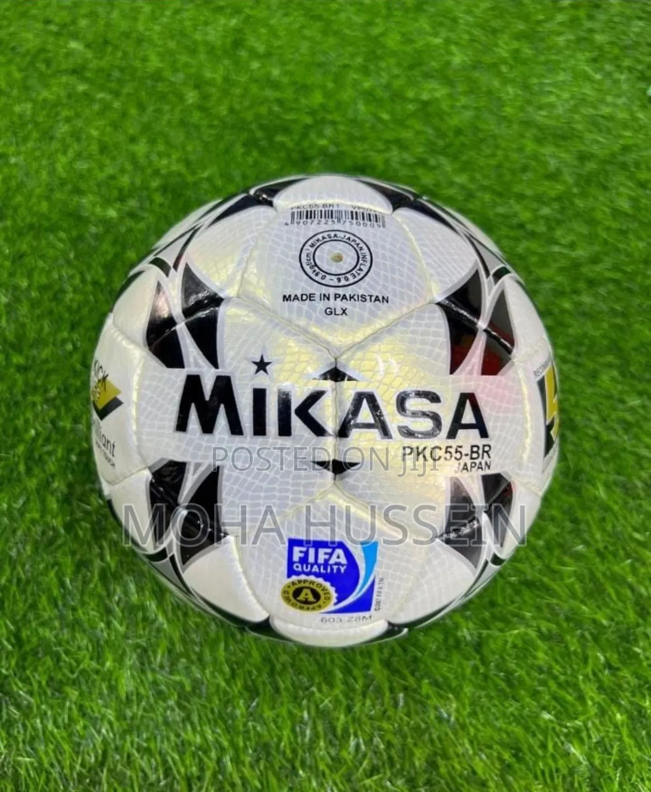 Mikasa Leather Ball