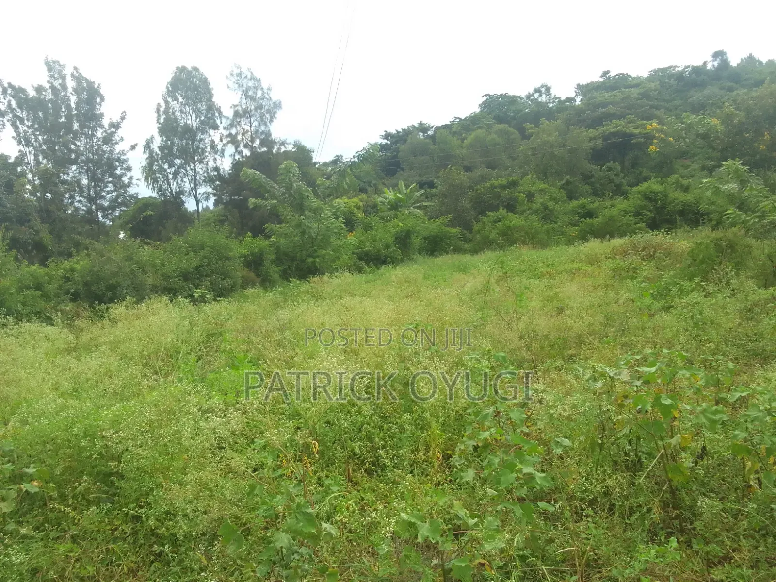 Freehold Land for Sale in Kisumu Konya
