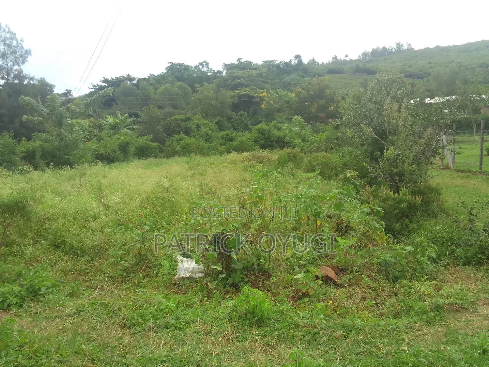 Freehold Land for Sale in Kisumu Konya