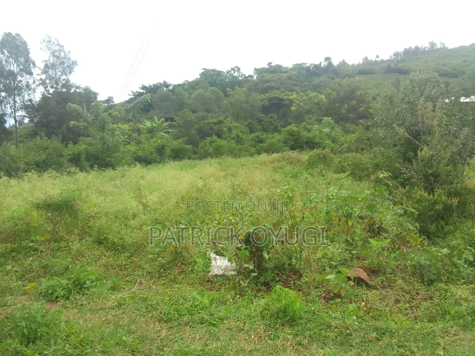Freehold Land for Sale in Kisumu Konya