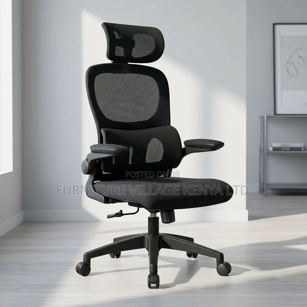 Ergonomic Chair.