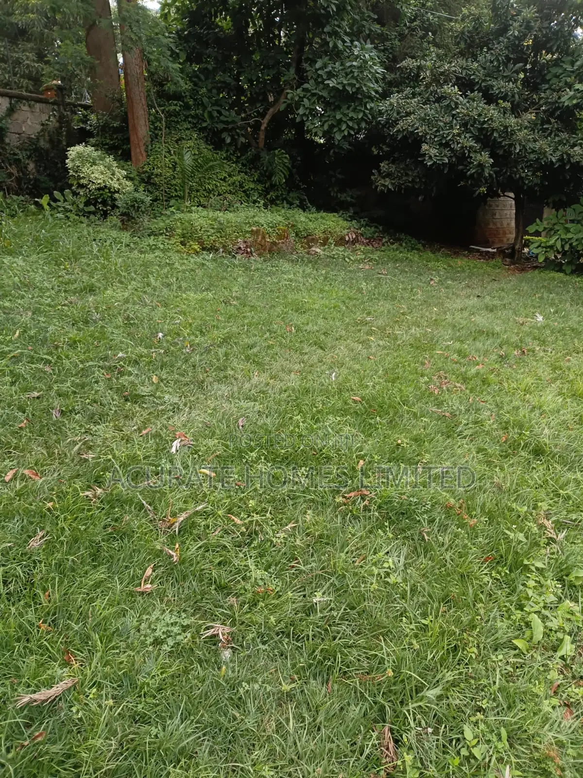 Thika Green Plots For Sale