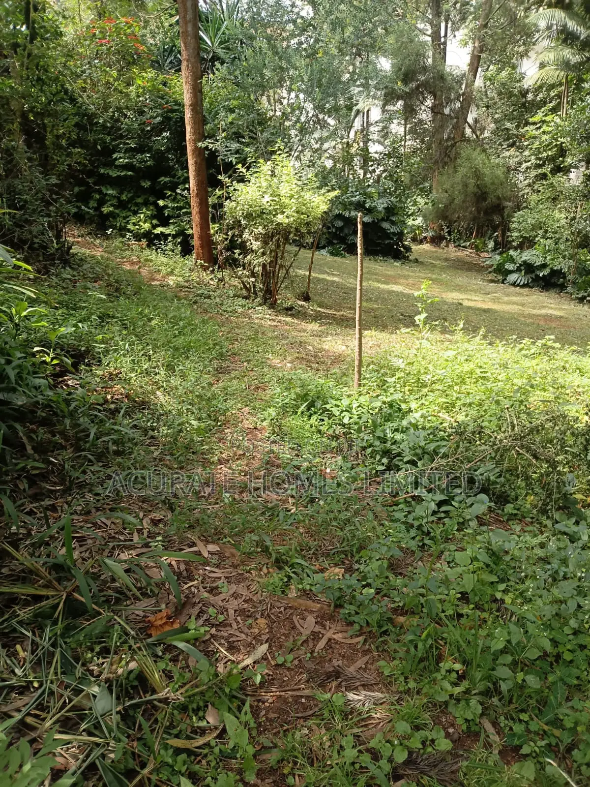 Thika Green Plots For Sale