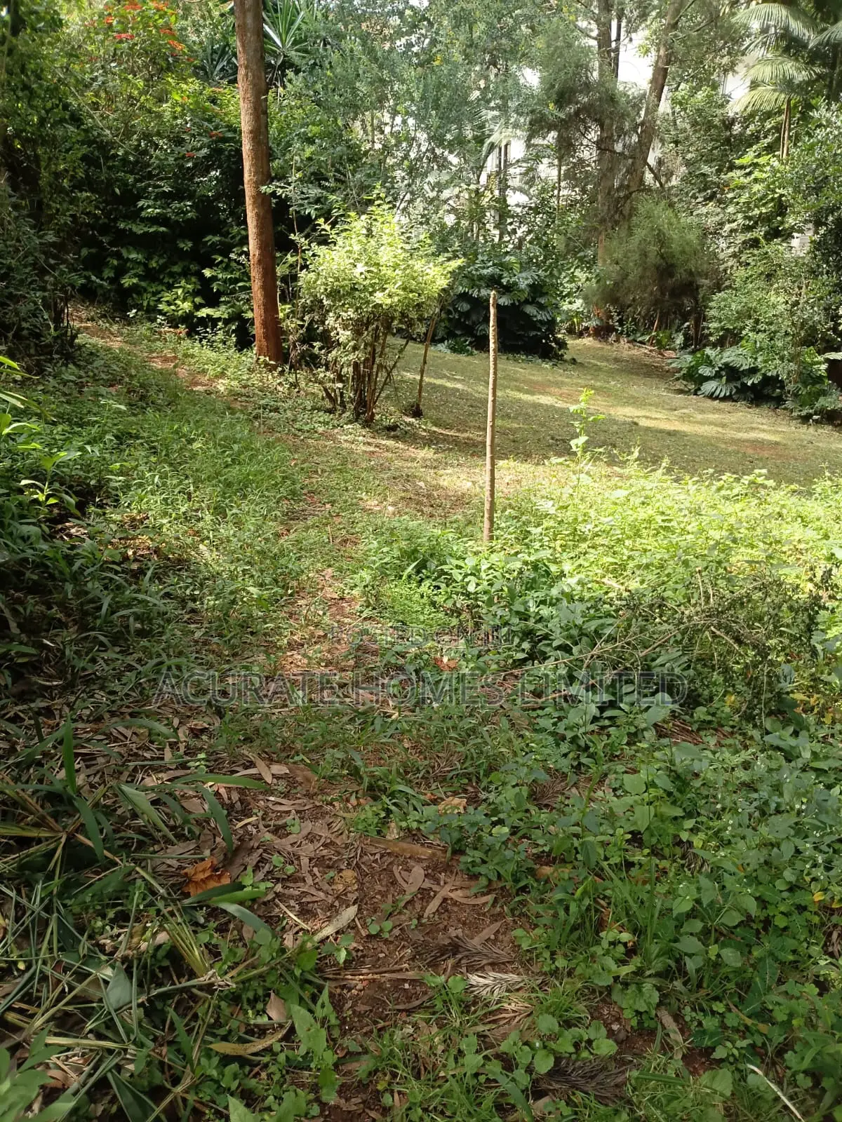 Thika Green Plots For Sale