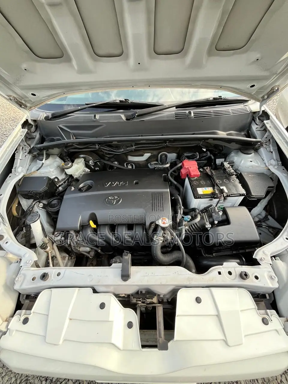 Toyota Succeed 2017 White