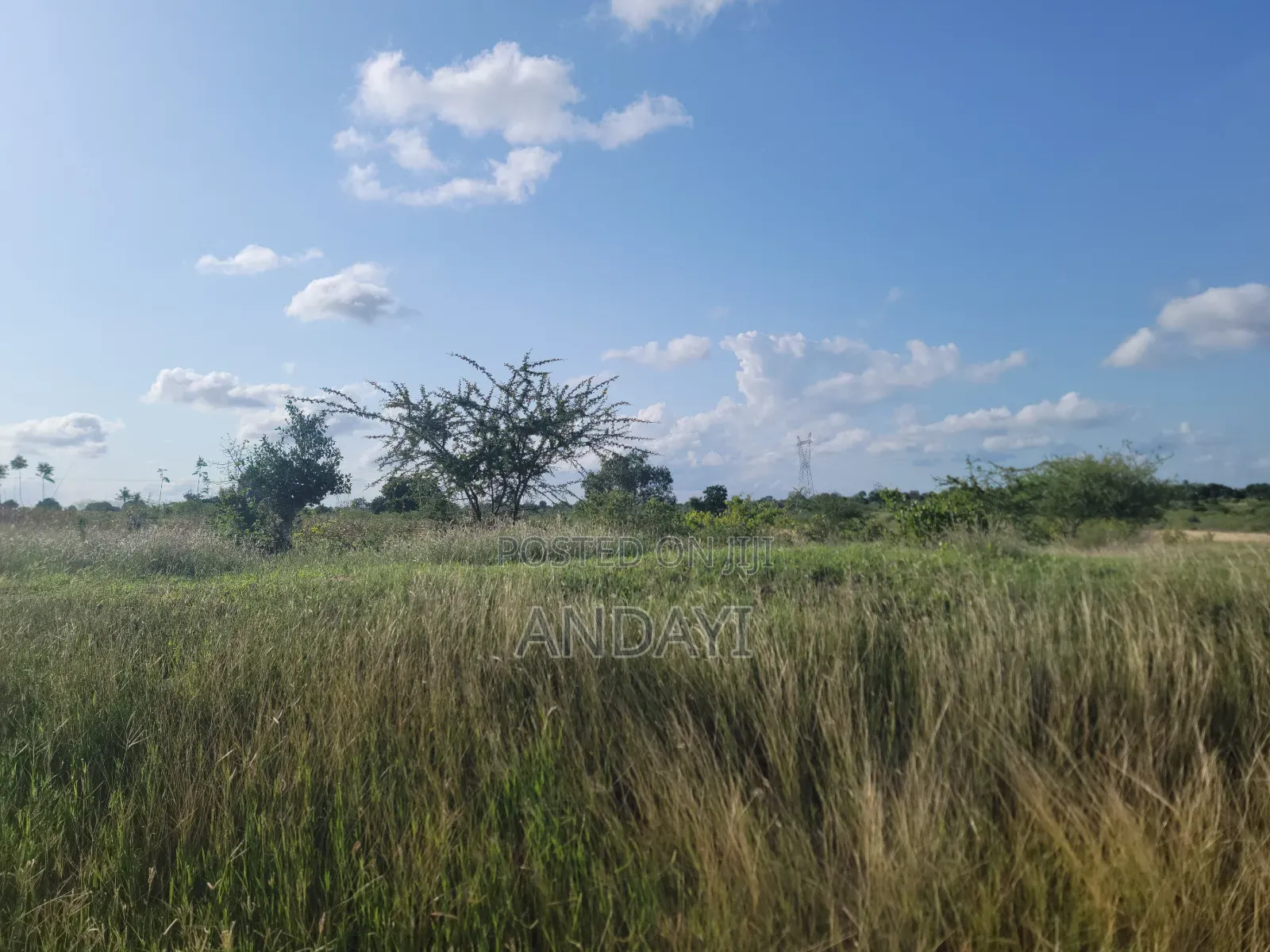 Land for Sale in Malindi Kakoneni