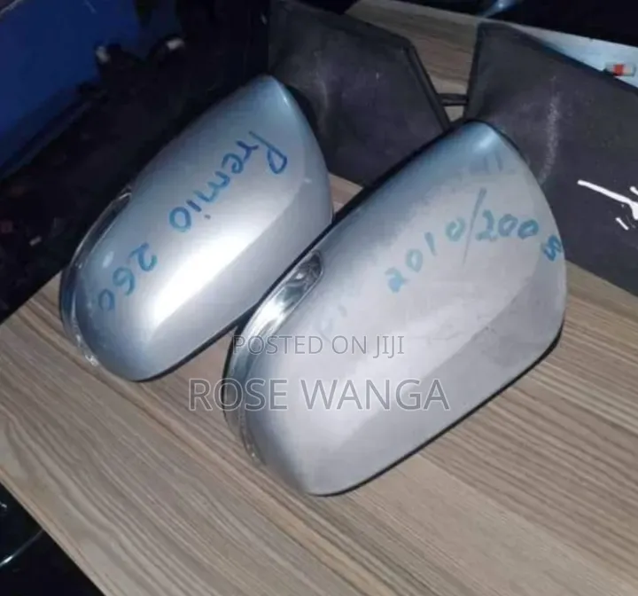 Premio 260 Side Mirror