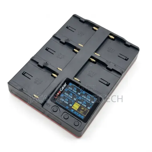 Livegear 5 Channel F970 Charger
