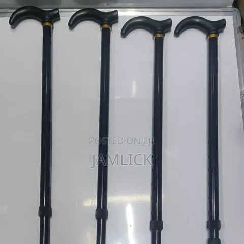 Kids Walking Sticks –Kb