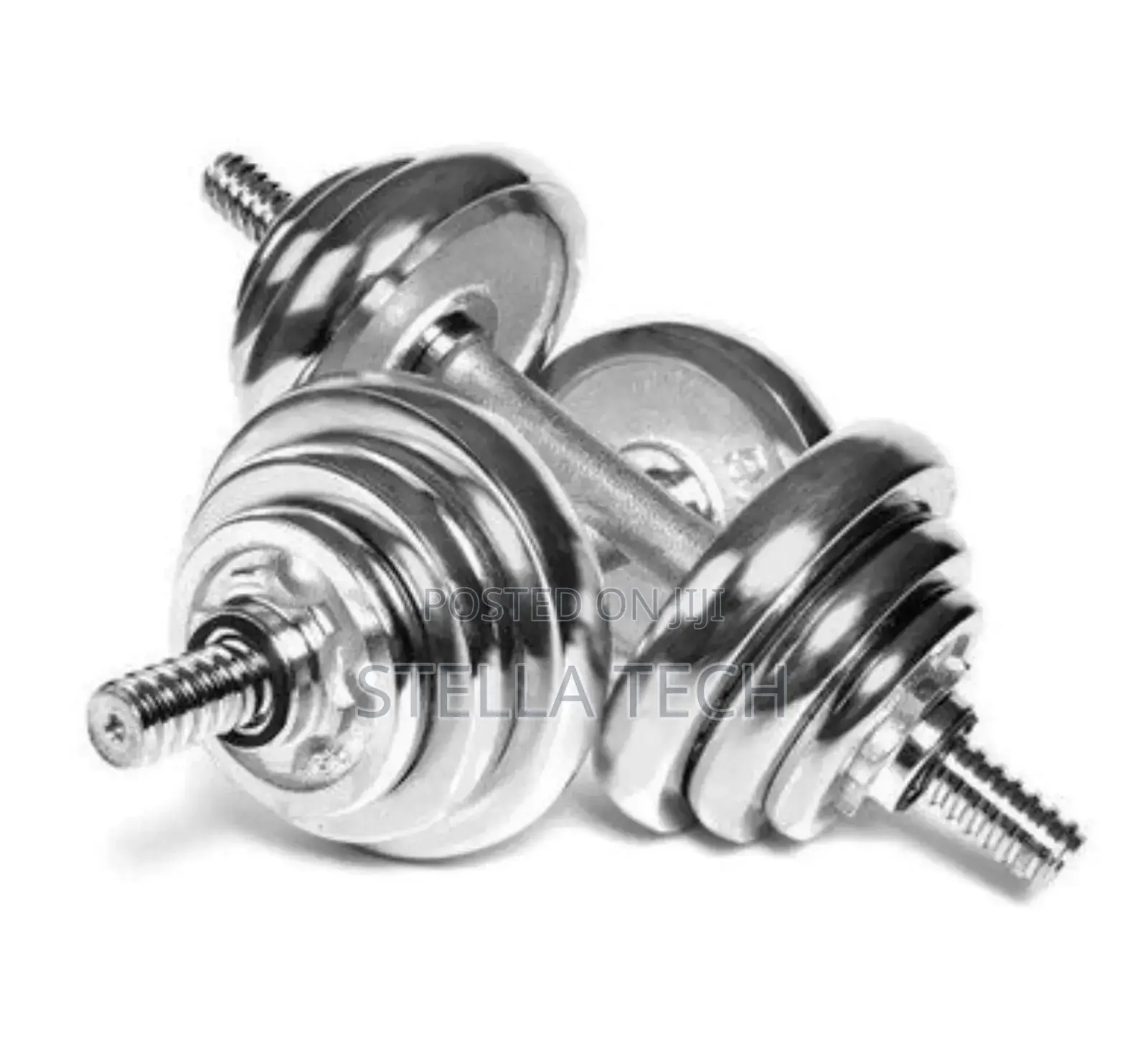 10kg Chrome Dumbbells Without a Case