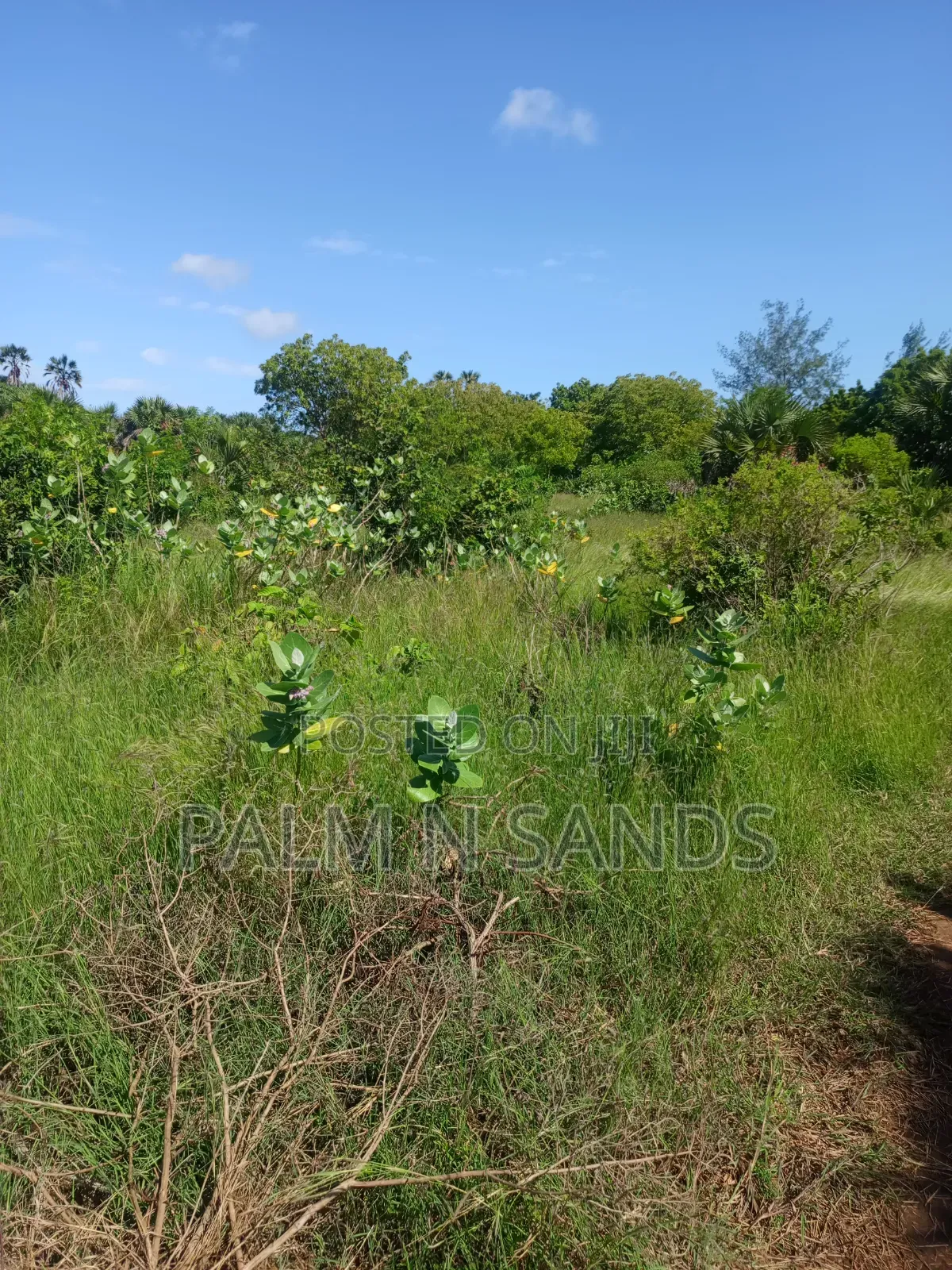 1.5 Acres in Galu Diani on Sale