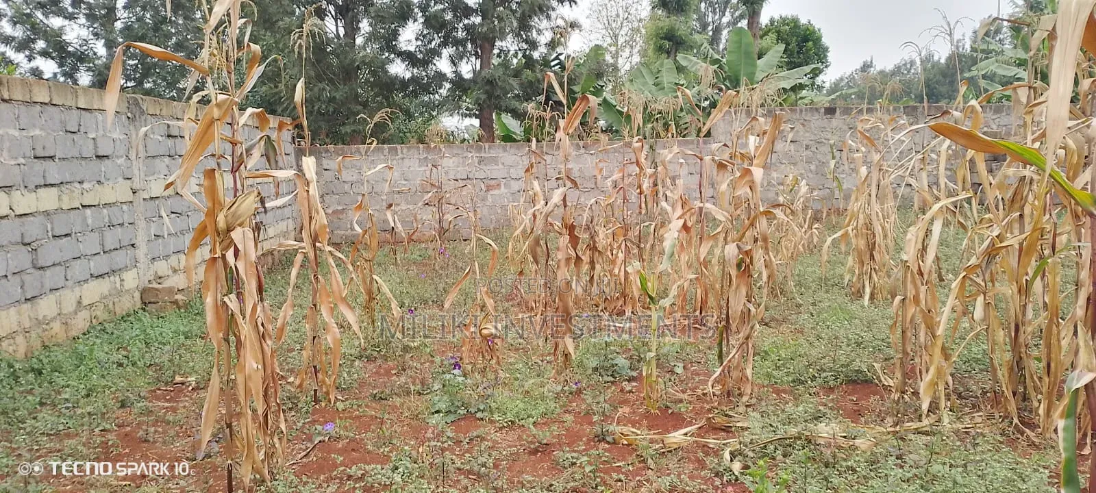 Residential Plot for Sale at Ruiru Mugutha