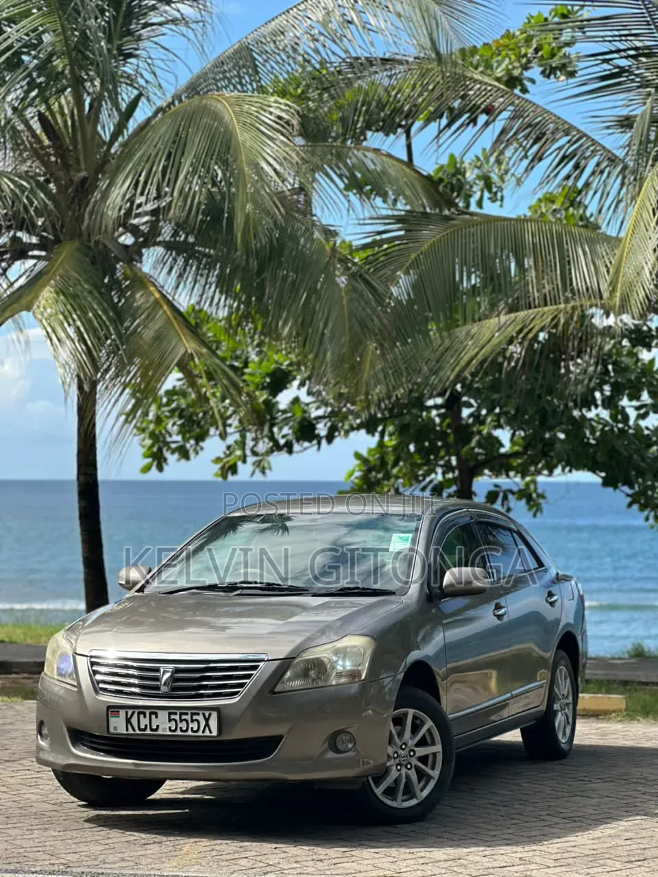 Toyota Premio 2011 Gray