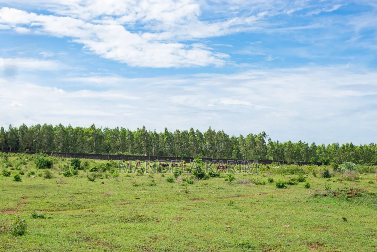 50 by 100ft Residential Plots for Sale Tezo Kilifi