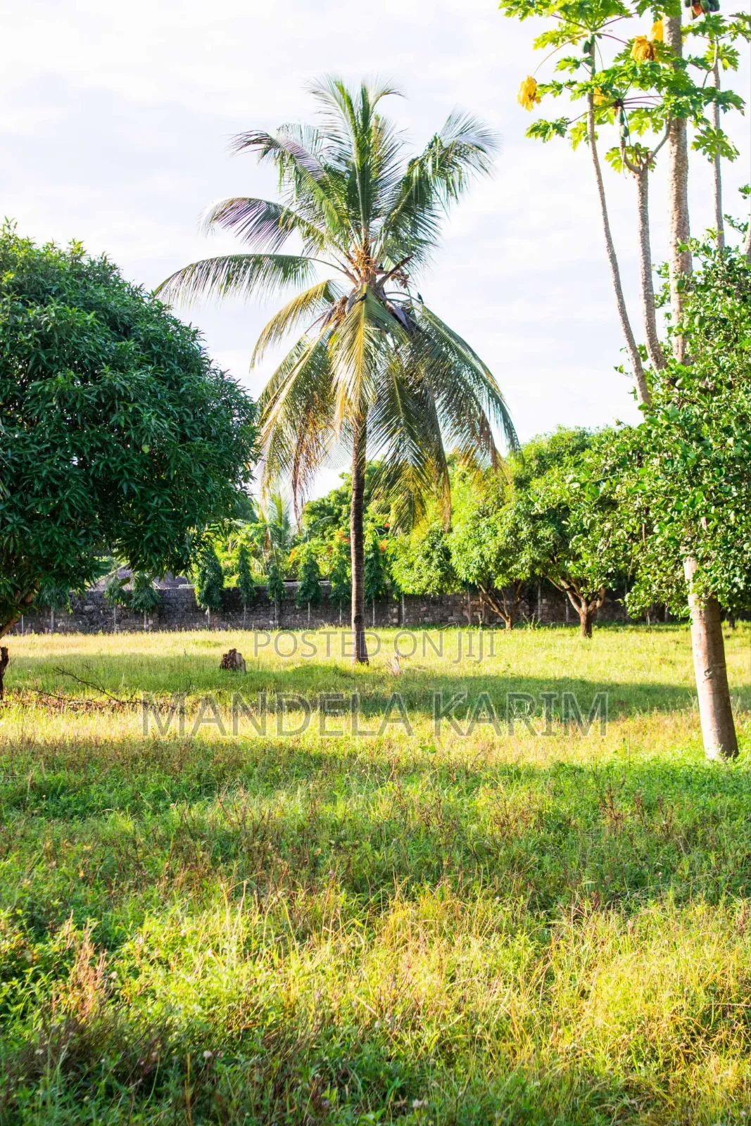 2 Acres|Perimeter Wall|Gazebo|Dsq|Orchard|Bofa Kilifi for Sale