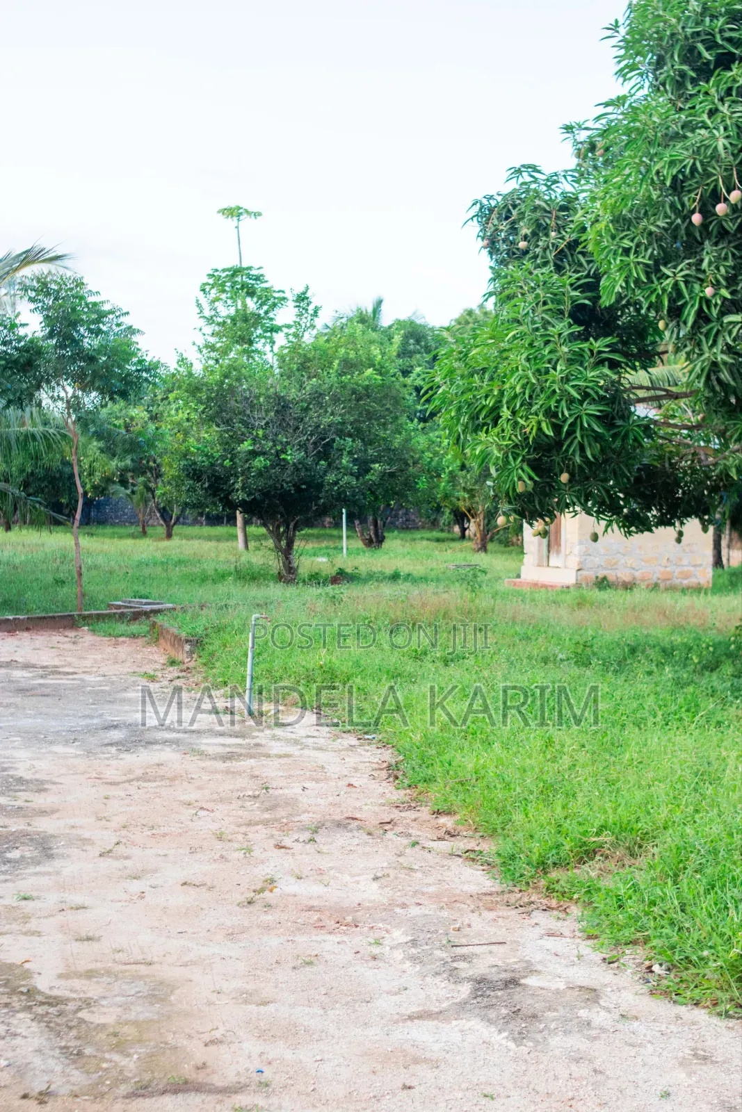 2 Acres|Perimeter Wall|Gazebo|Dsq|Orchard|Bofa Kilifi for Sale
