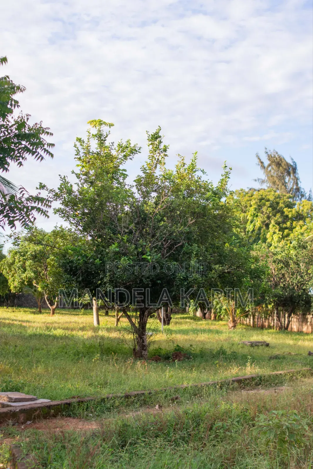 2 Acres|Perimeter Wall|Gazebo|Dsq|Orchard|Bofa Kilifi for Sale