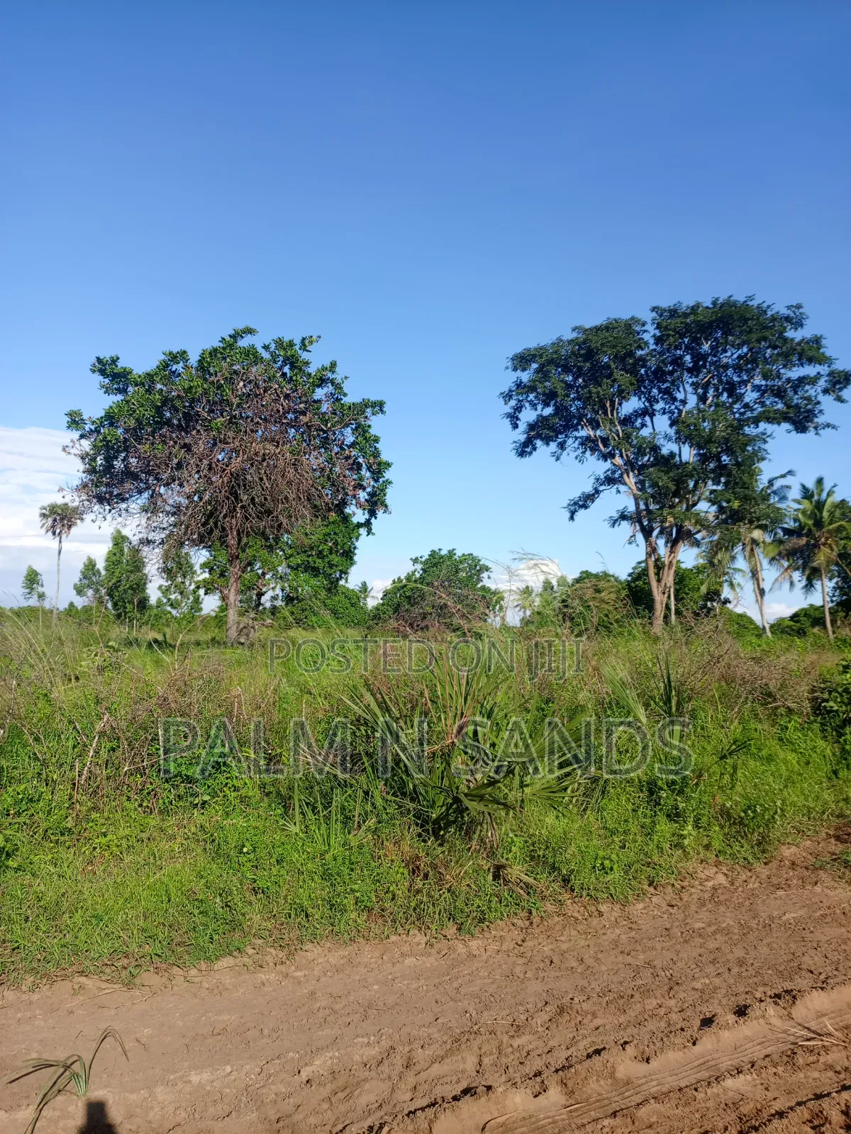 One Acre in Kinondo Diani on Sale!
