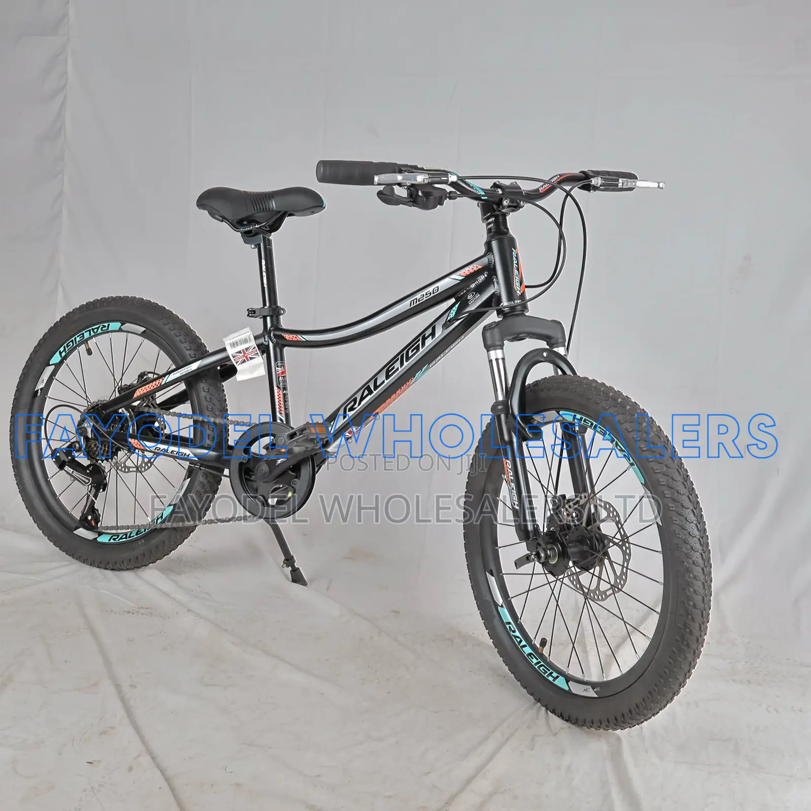 Raleigh M250 Mountain Bike – Front Suspension Disc Brakes