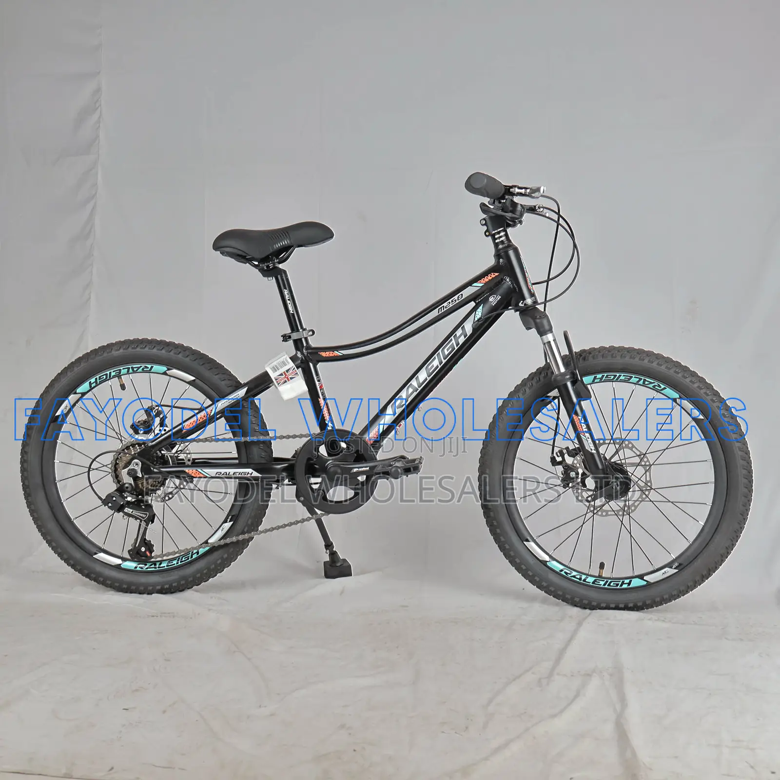 Raleigh Mountain Bike – Strong, Fast Reliable