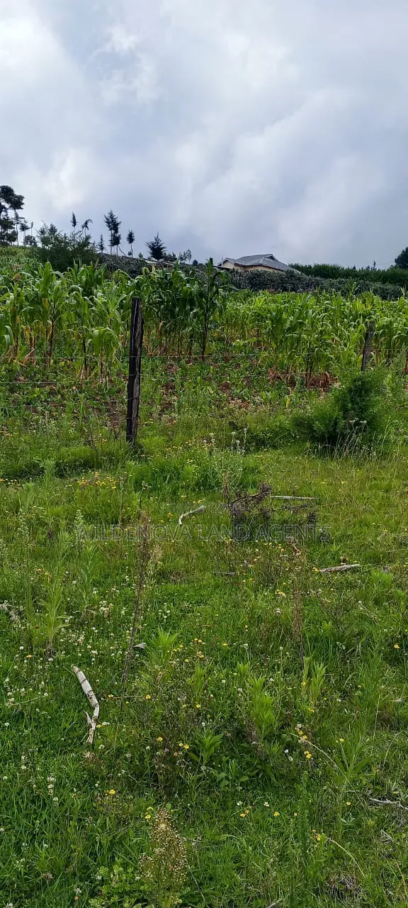 Land on Sale at Naivasha