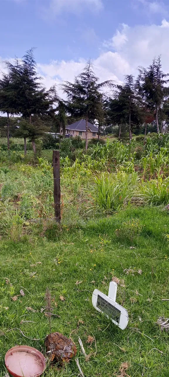 Land on Sale at Naivasha
