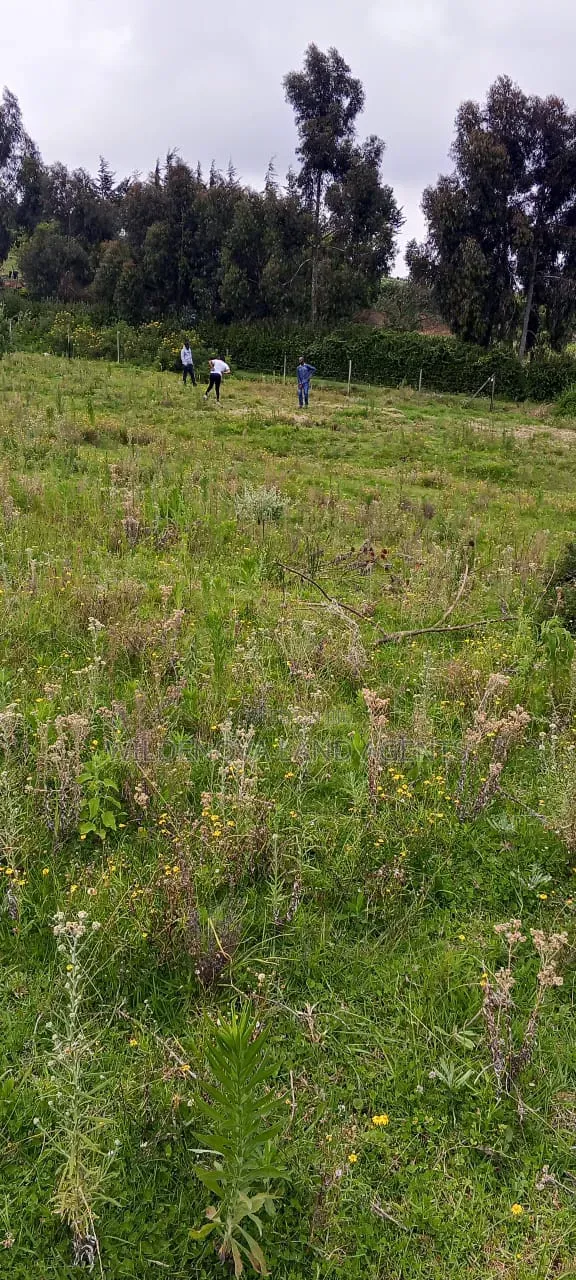 Land on Sale at Naivasha