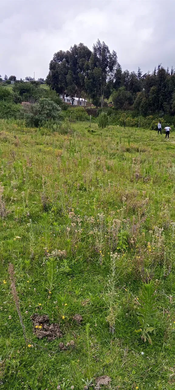 Land on Sale at Naivasha