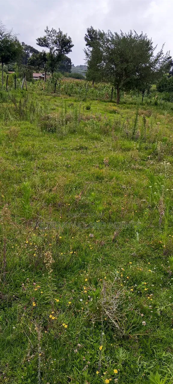 Land on Sale at Naivasha