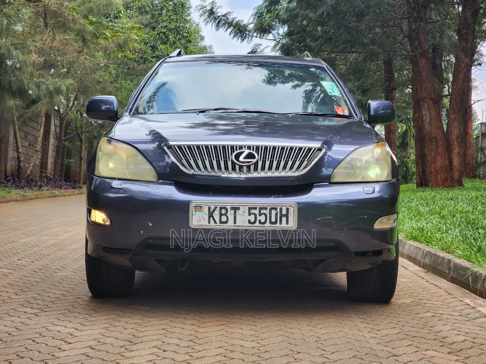 Lexus RX 2005 Blue
