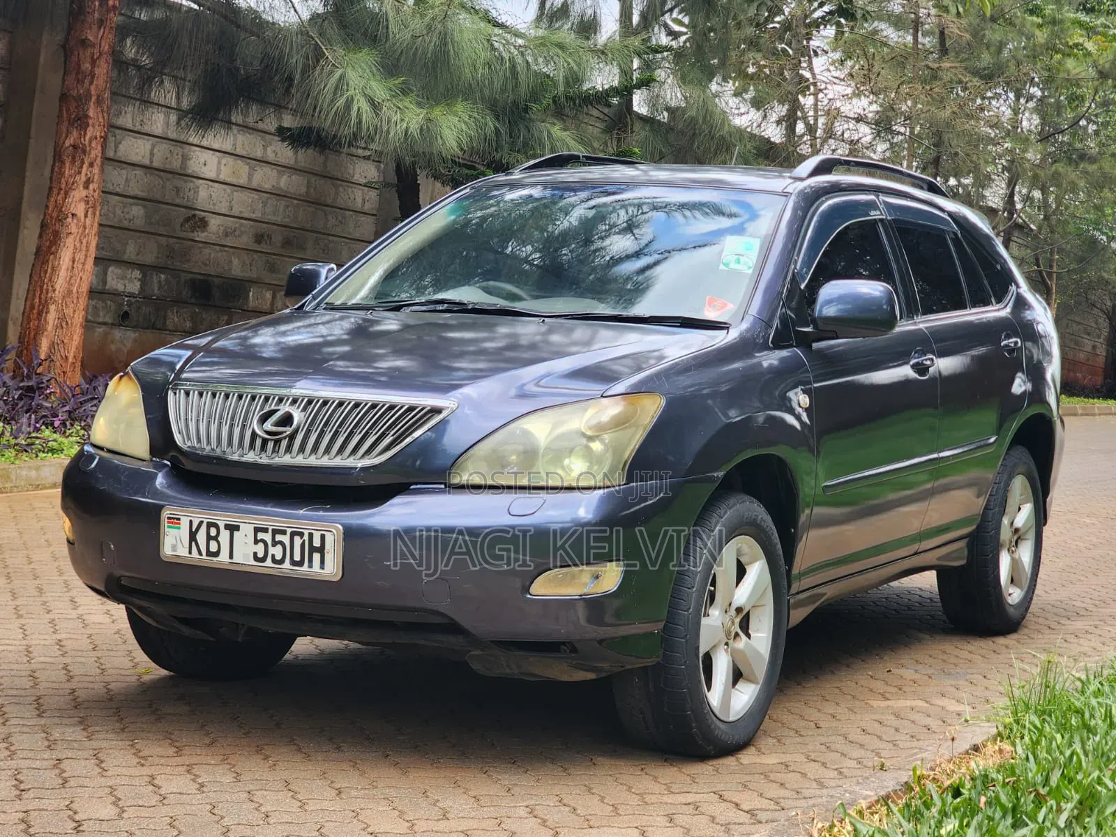 Lexus RX 2005 Blue