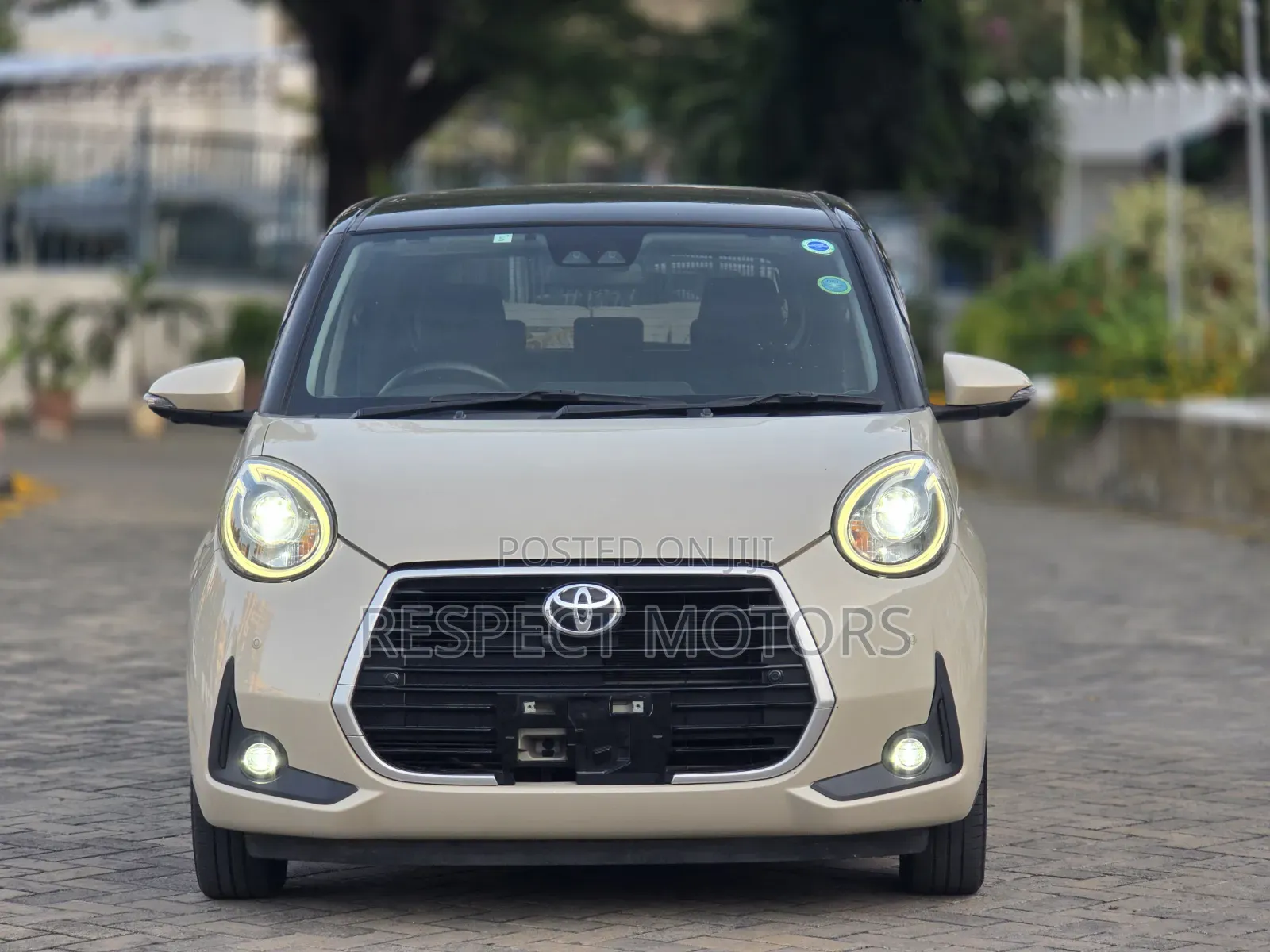 Toyota Passo 2019 Beige
