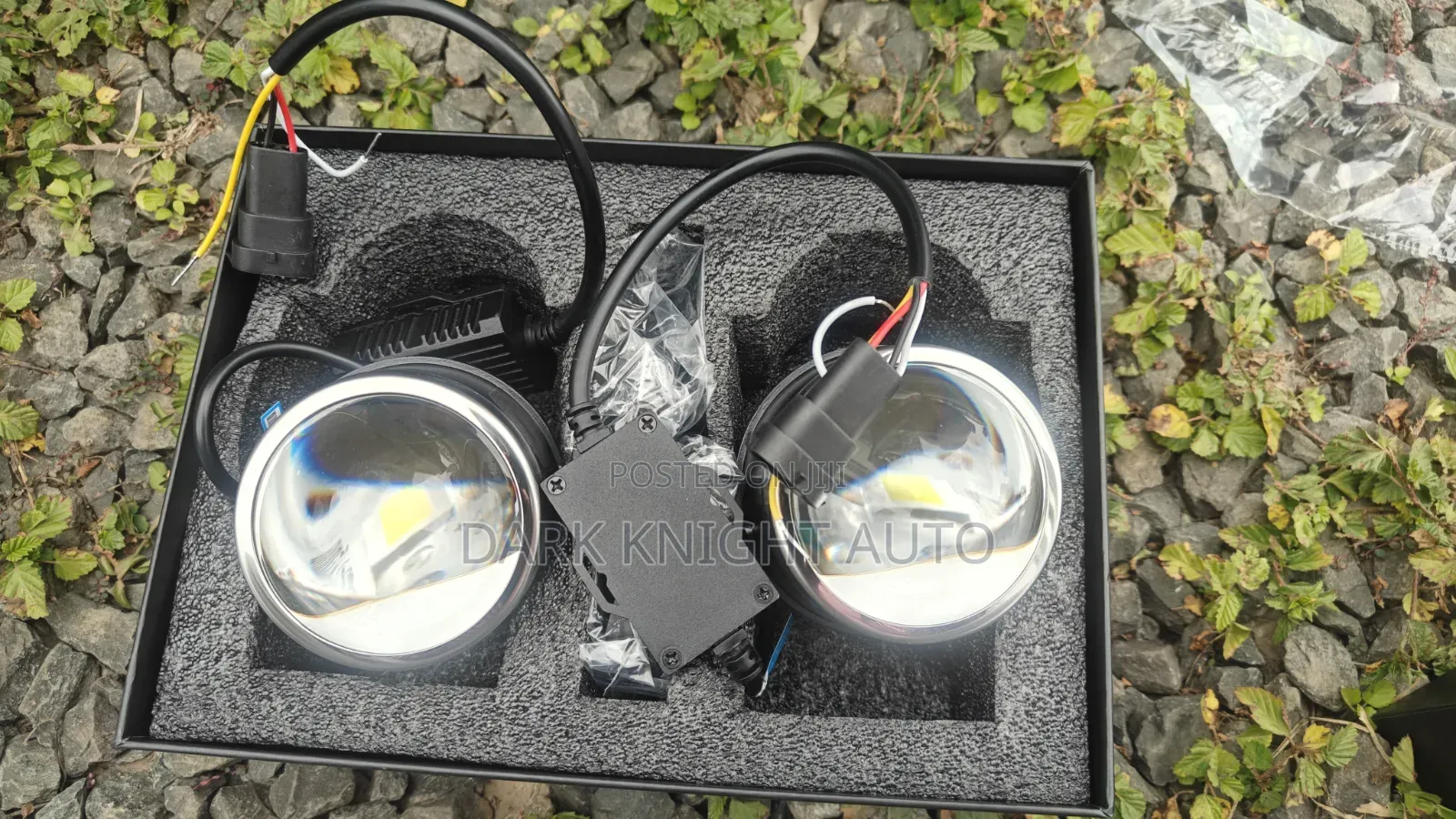 Projector Fog Lamp