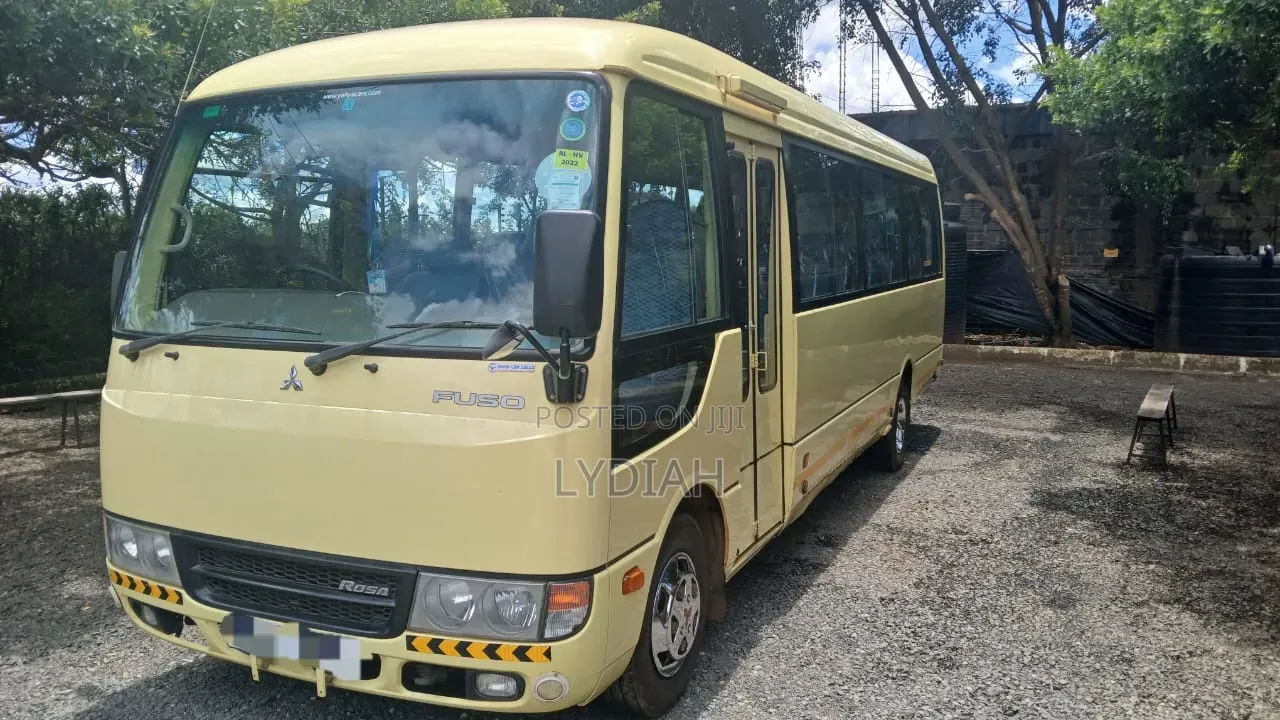 Mitsubishi Fuso Rosa 2014 Beige