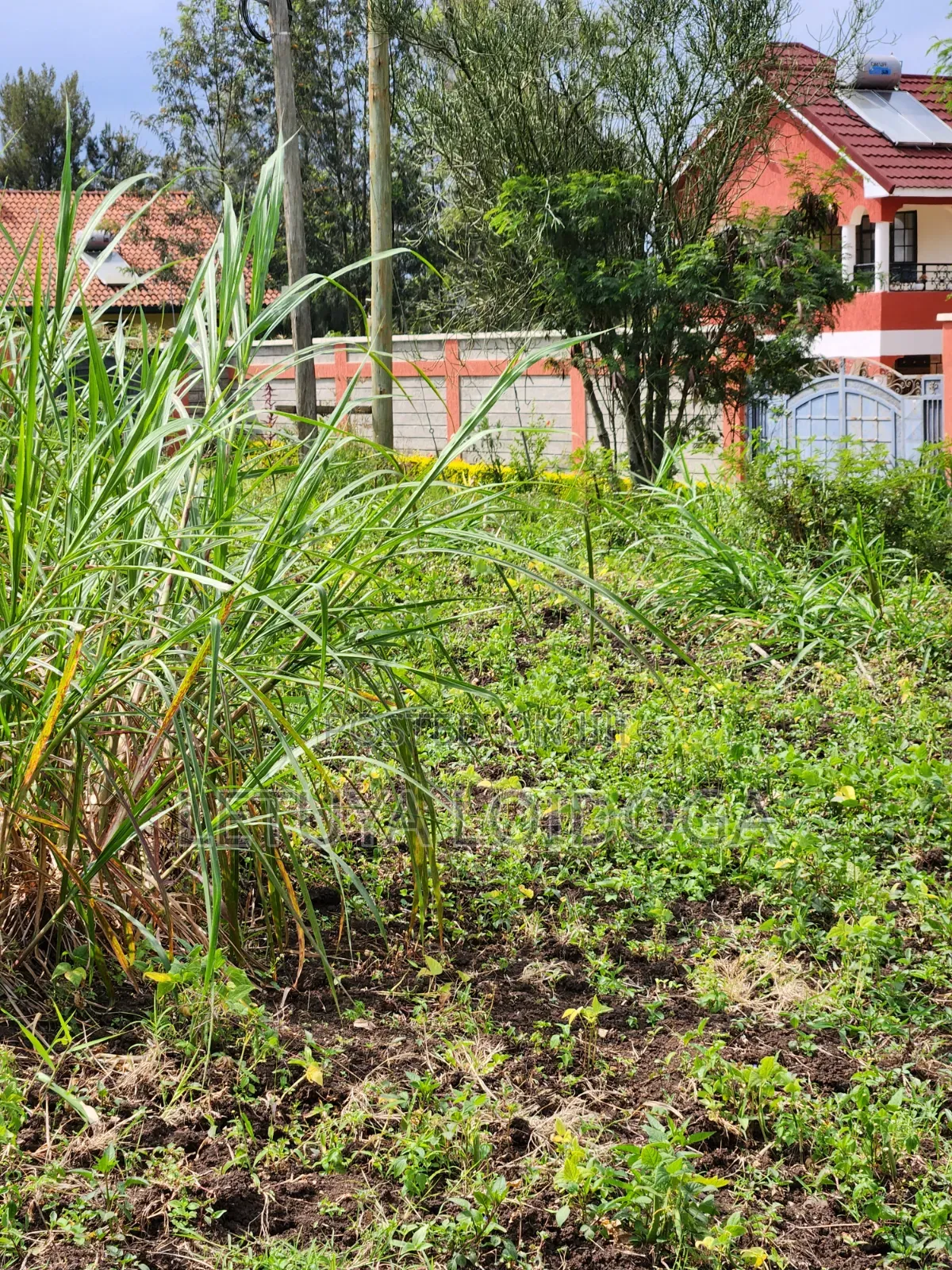 1⁄4 Acre Ngong-Memusi