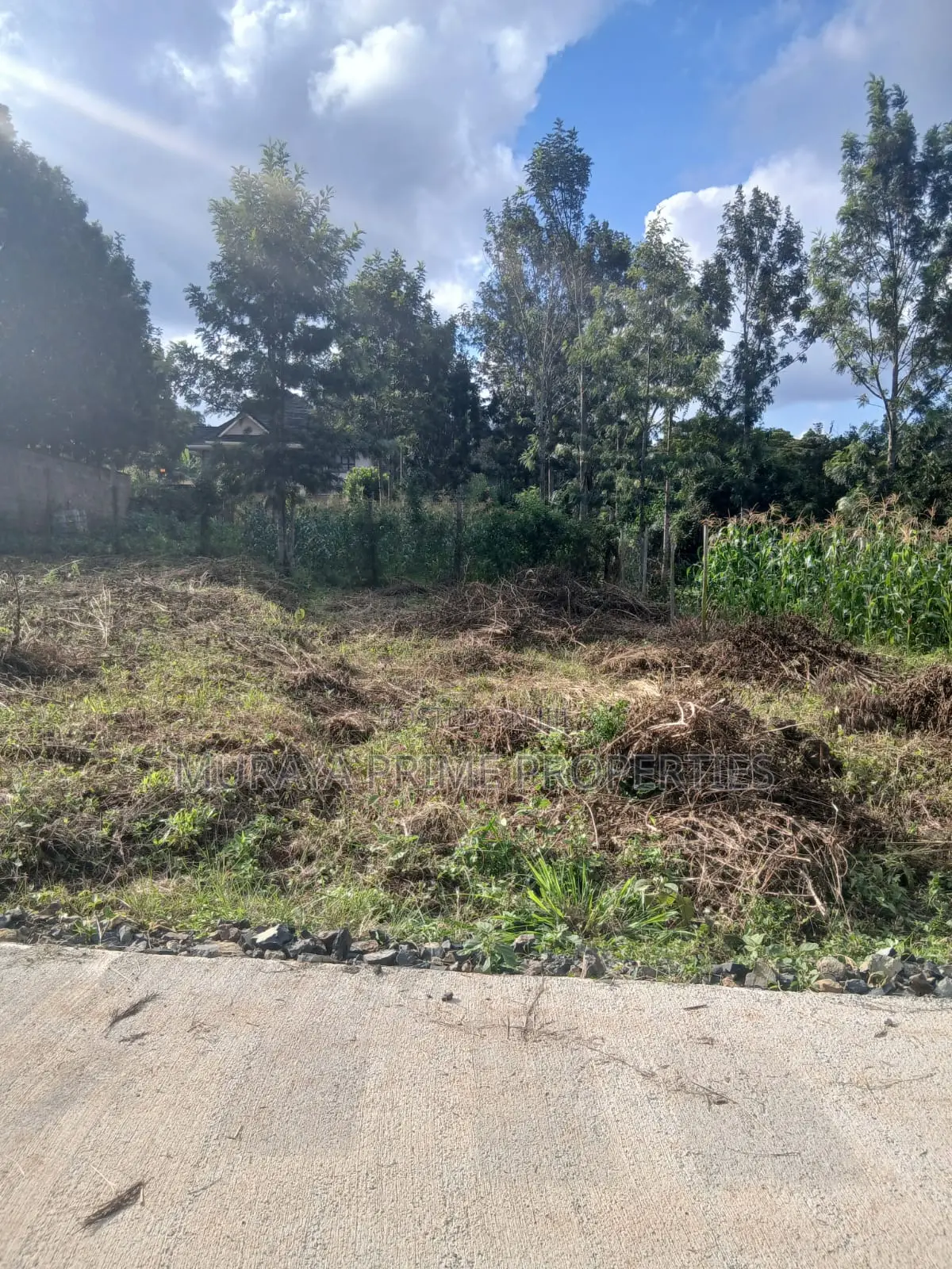 Prime Quarter Acre Plot for Sale-Kerarapon Drive.
