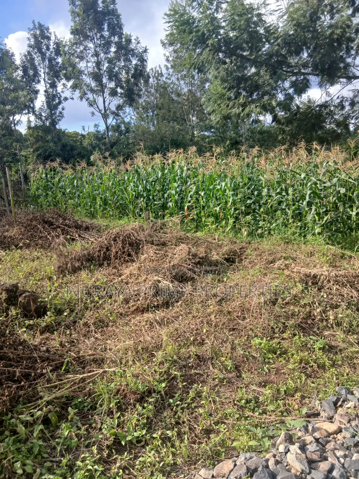 Prime Quarter Acre Plot for Sale-Kerarapon Drive.