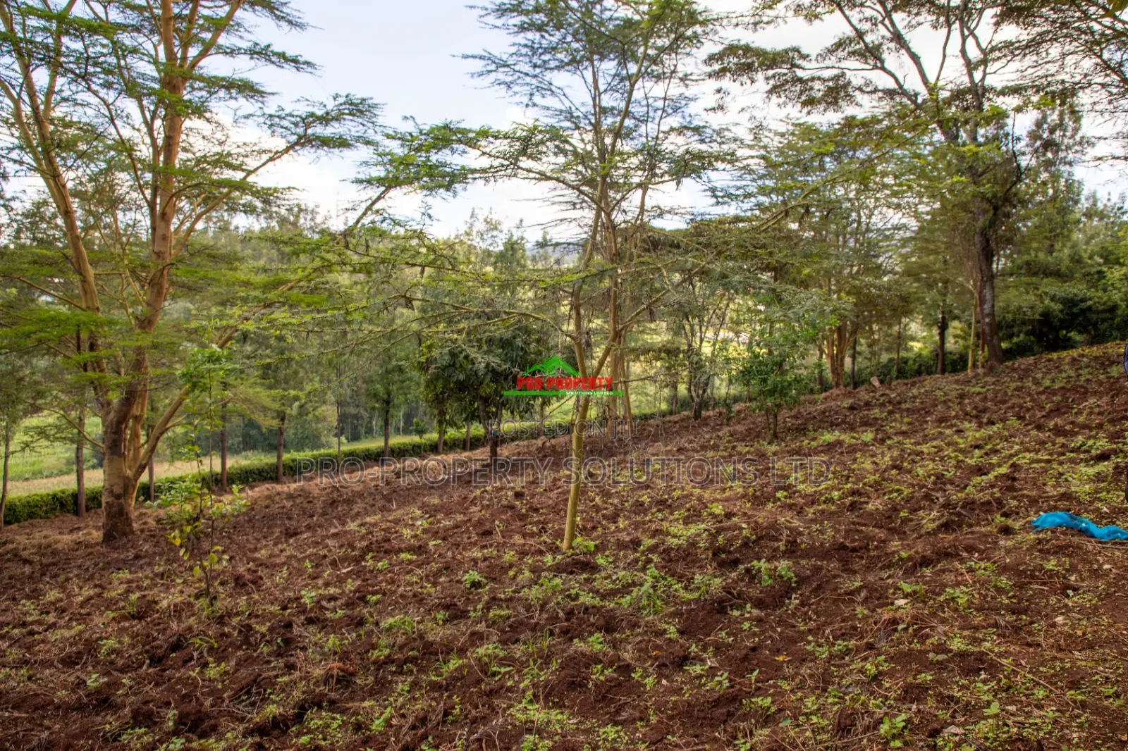 Prime 2-Acre Residential Land for Sale in Ngong – Matasia