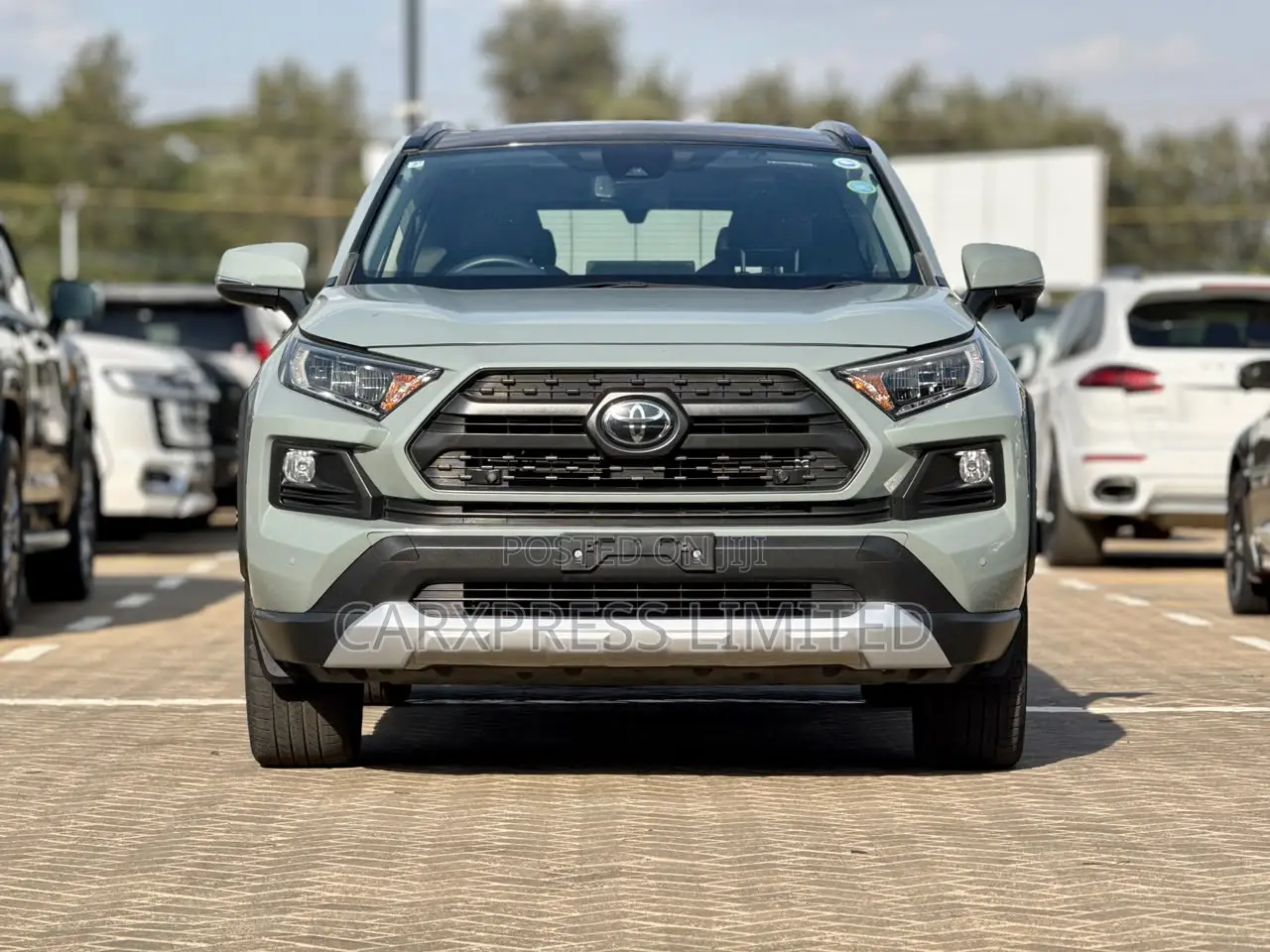 Toyota RAV4 Adventure 2019 Gray