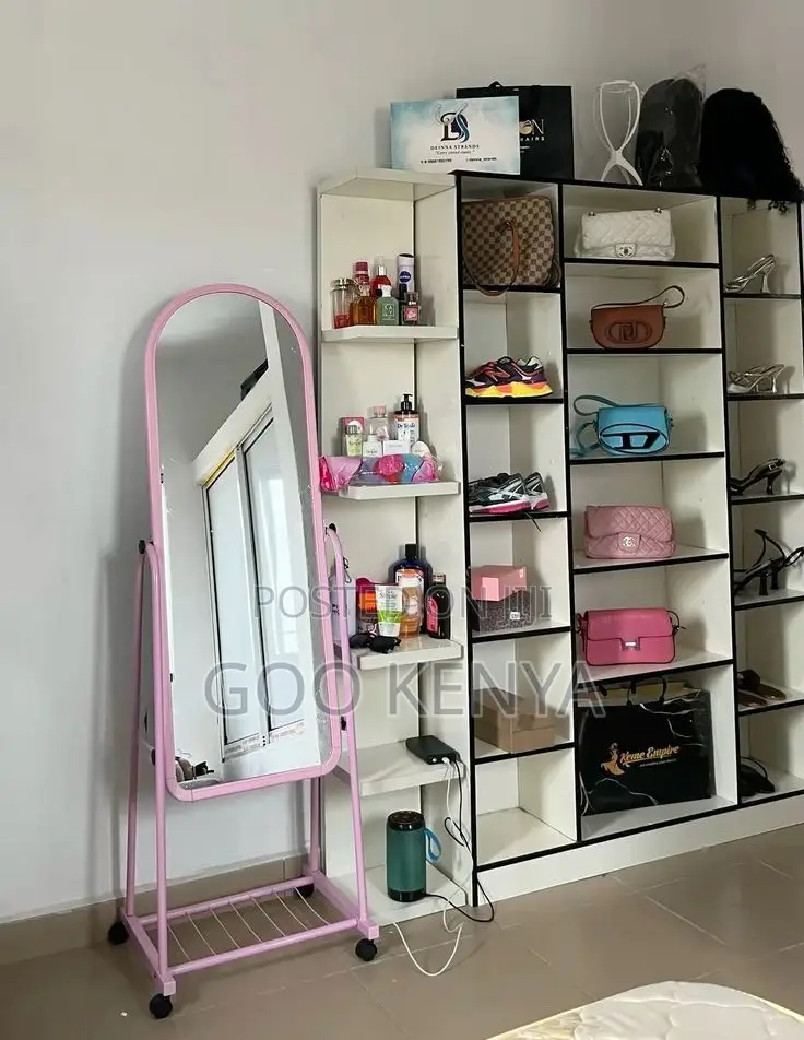 Bedroom Mirror; Modern Mobile Full Body Mirror With Storage