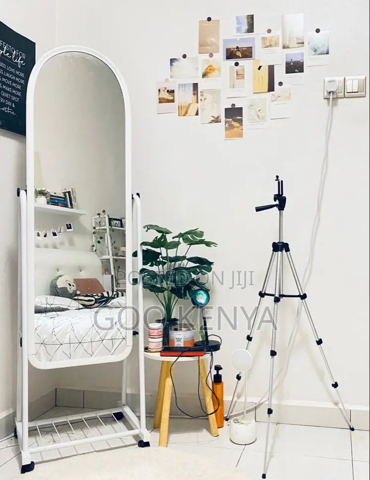 Bedroom Mirror; Modern Mobile Full Body Mirror With Storage