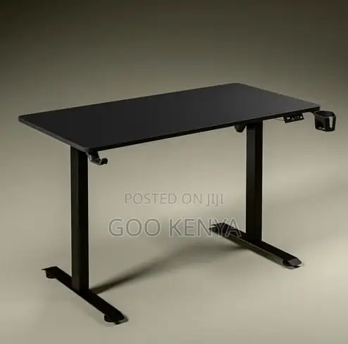 Home Desk; Adjustable Electric Home Study Desk With Sit-Stand Function