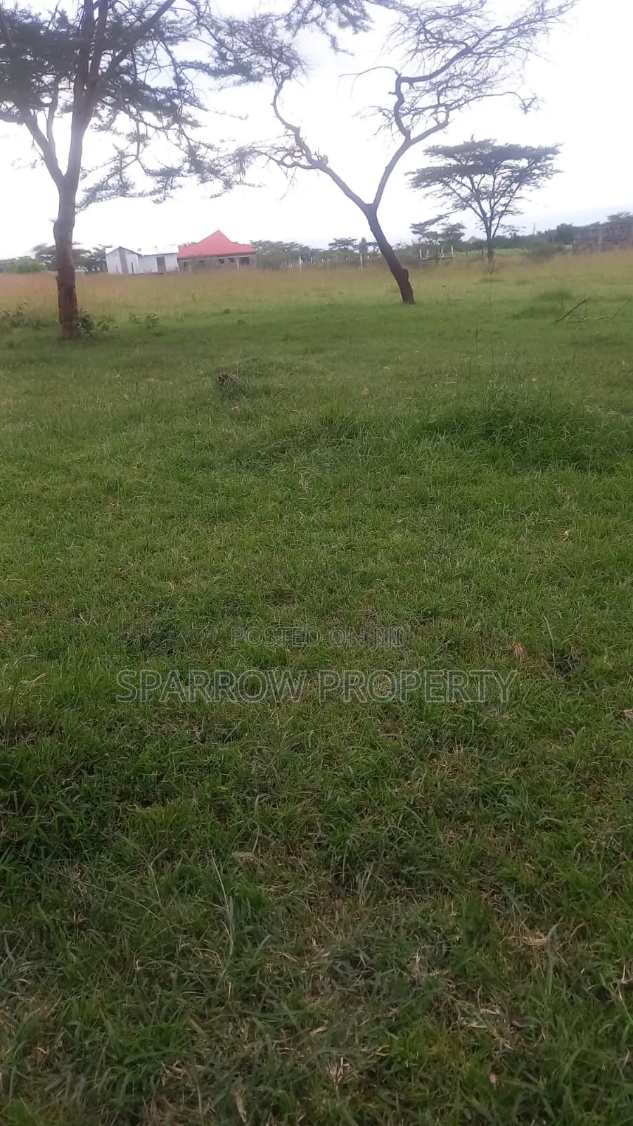 Nakuru 1acre Land