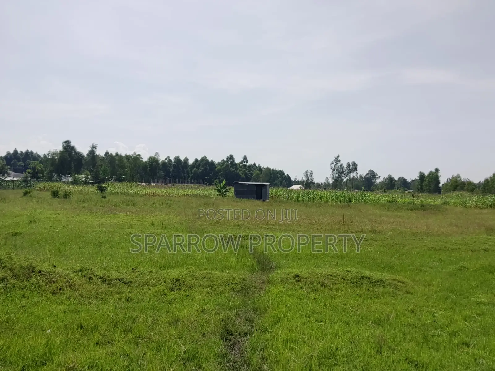 Kisumu Industrial Land