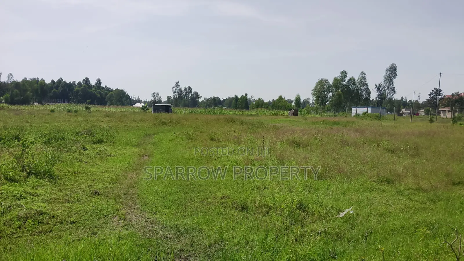 Kisumu Industrial Land