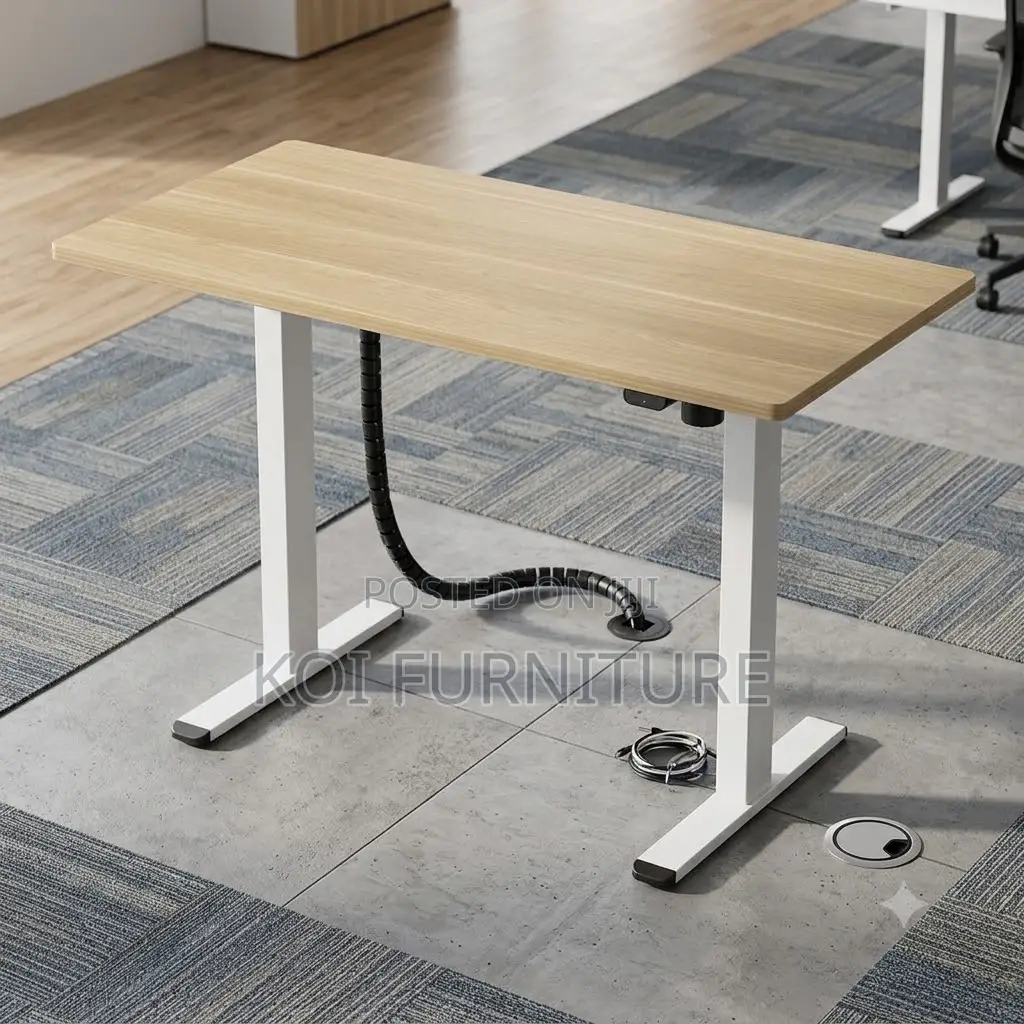 Office Desk; Electric Home Gaming Adjustable Desk